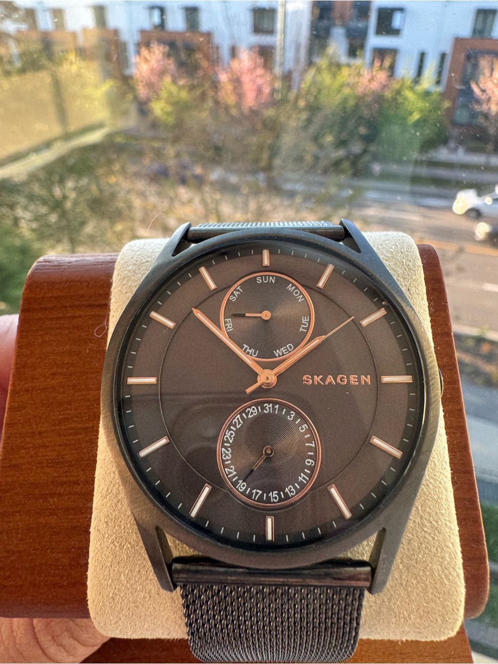Skagen Men’s Watch